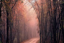 国安队员备力战局，迎接生死搏斗