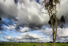 巴黎圣日耳曼惨败，止步欧冠八强！