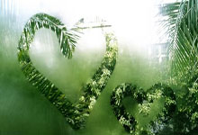 2月23日UFC：罗伯·丰特对阵巴西不败新星吉恩·松本，罗伯特吉尔