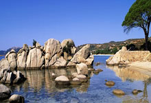 2月23日UFC：罗伯·丰特对阵巴西不败新星吉恩·松本，罗伯特吉尔