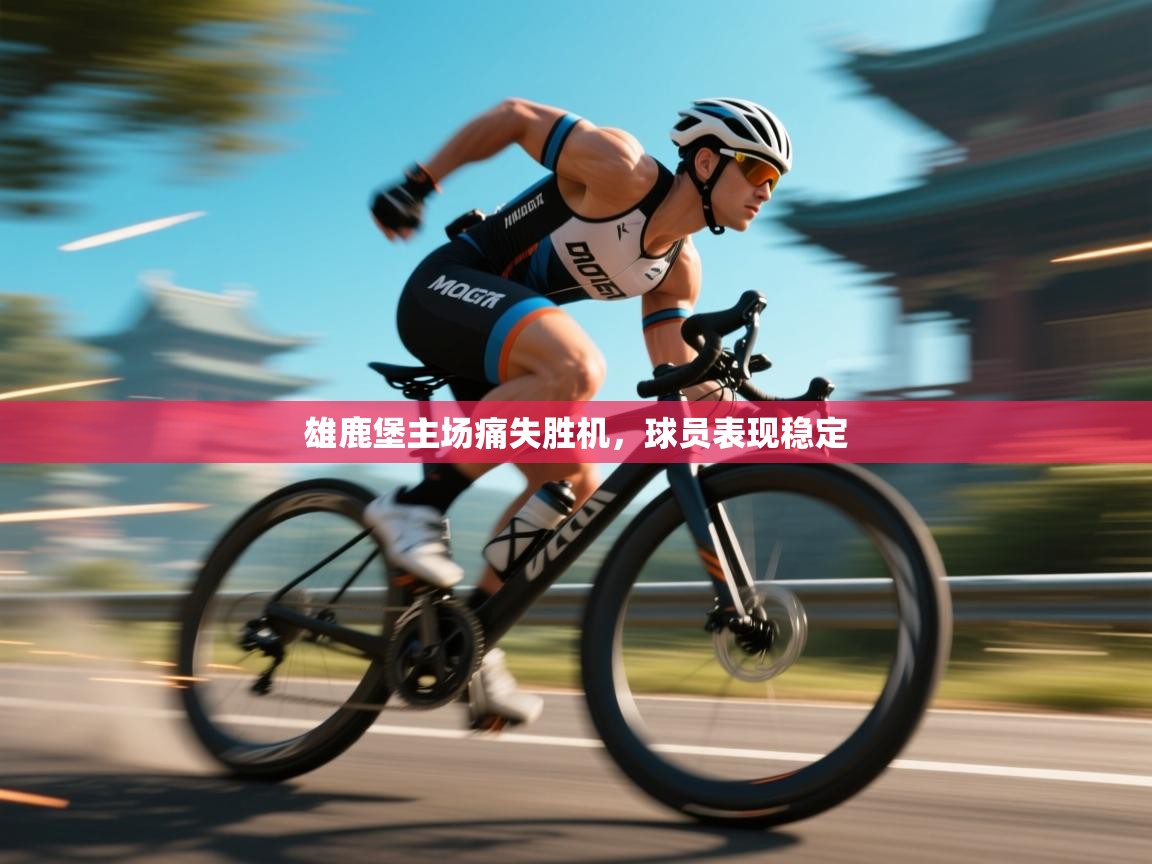 雄鹿堡主场痛失胜机,球员表现稳定 第2张