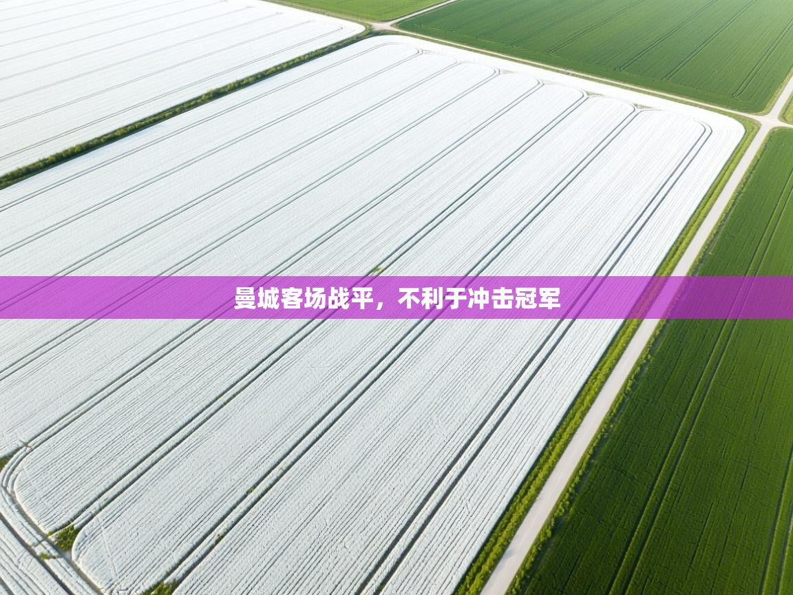 曼城客场战平,不利于冲击冠军 第1张