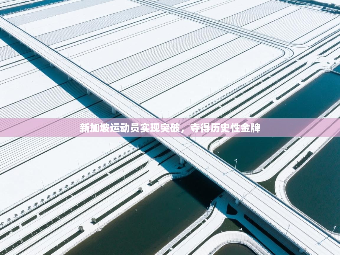 新加坡运动员实现突破，夺得历史性金牌  第2张