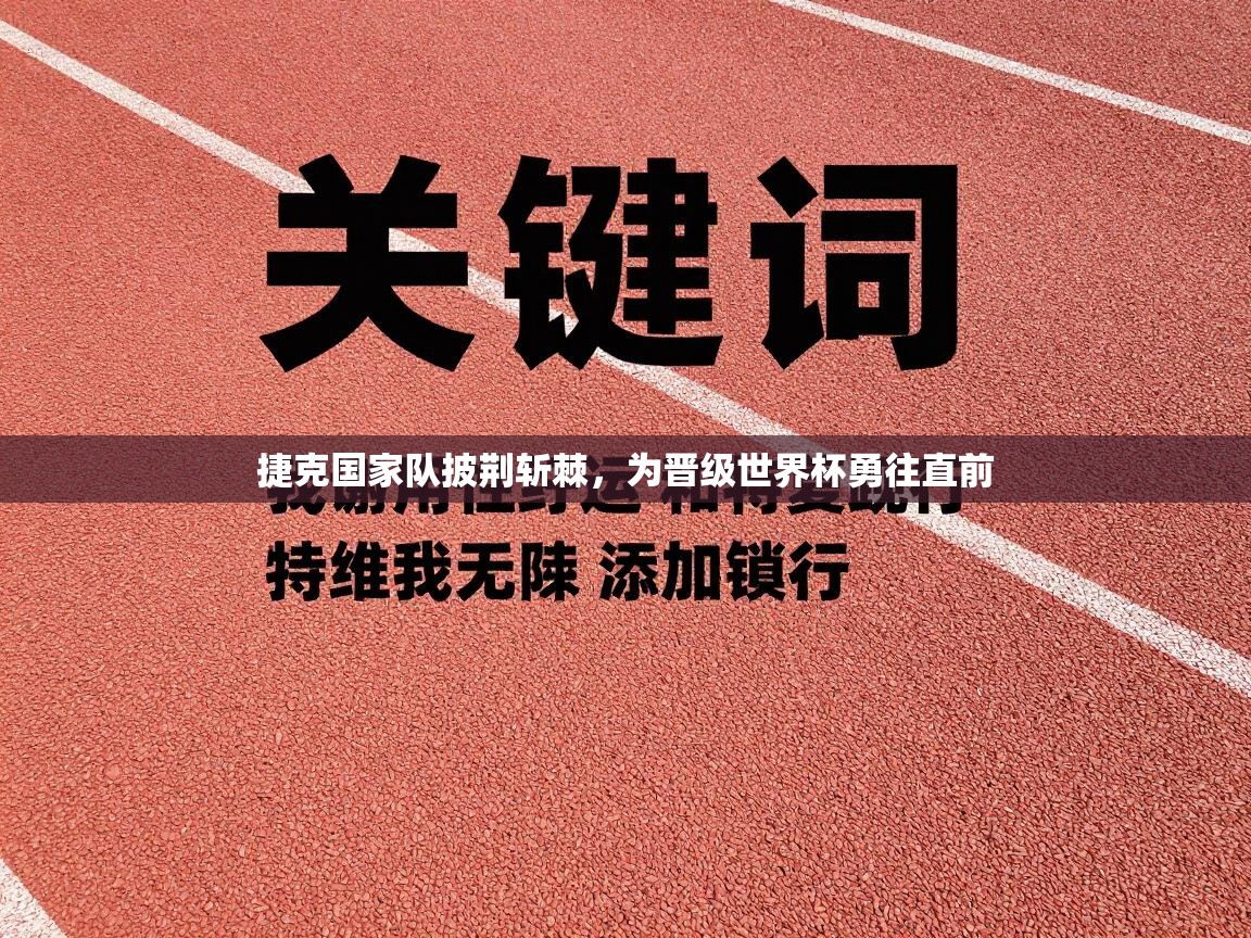 捷克国家队披荆斩棘，为晋级世界杯勇往直前