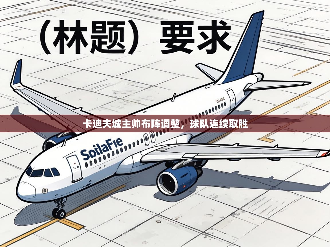 卡迪夫城主帅布阵调整，球队连续取胜